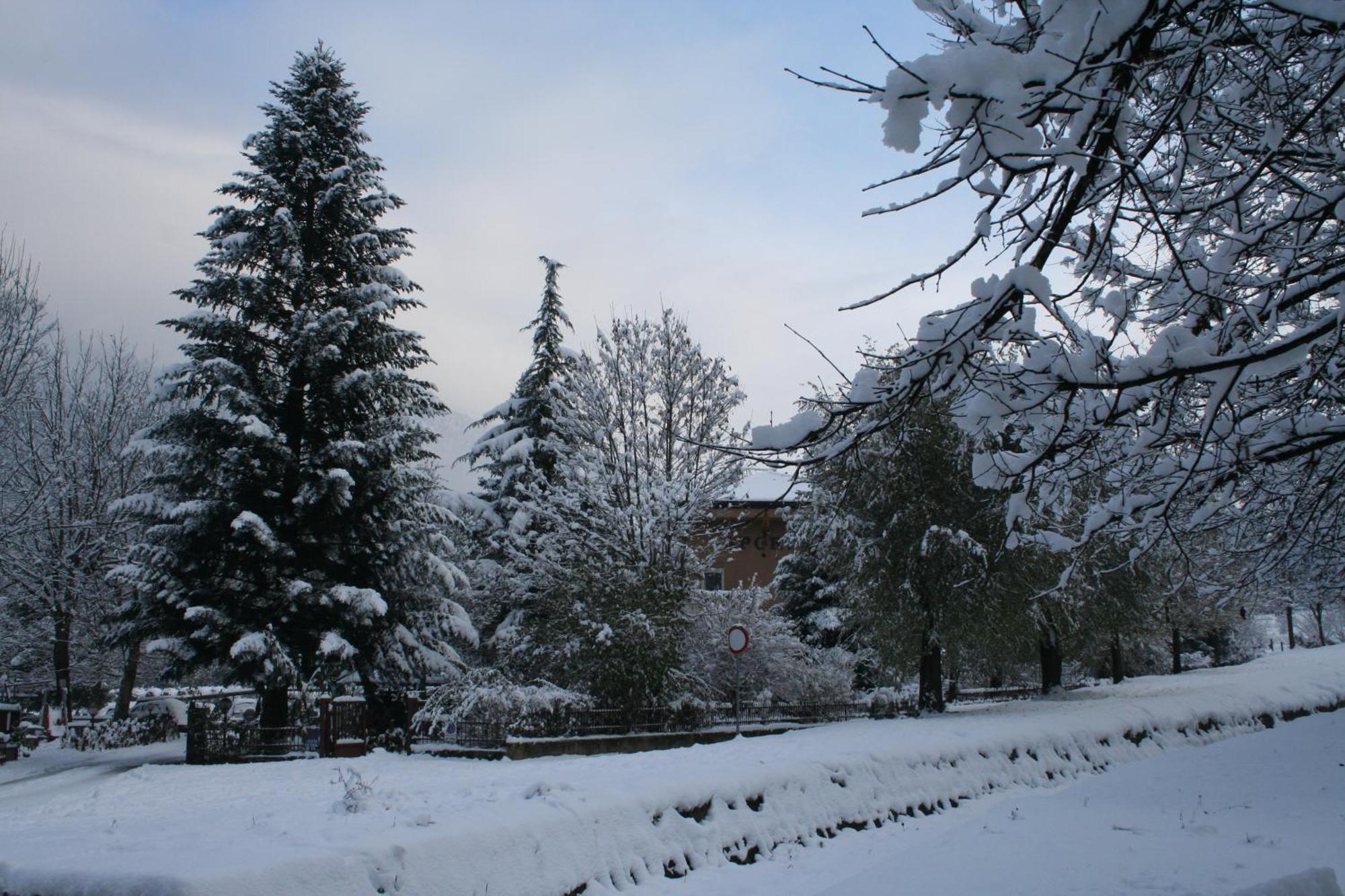 Garden House - Hotel Sport Levico Terme Buitenkant foto